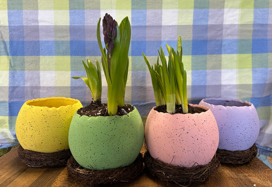 Easter Egg Pot and Bulb Plant