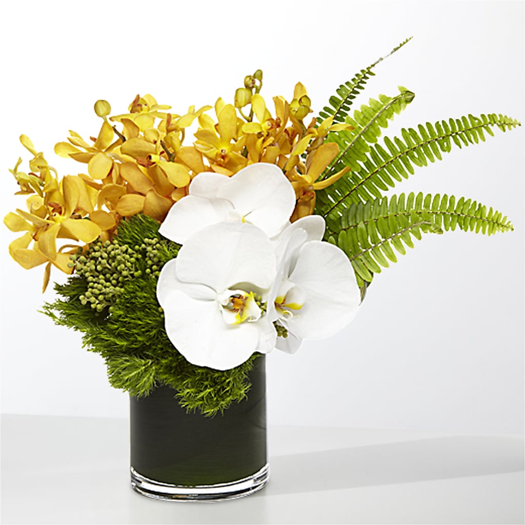 The Tropics –  Buzy Beez Florist, Royersford PA